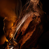 BOSS Bottled Elixir - Parfum Intense (Boite Blanche)